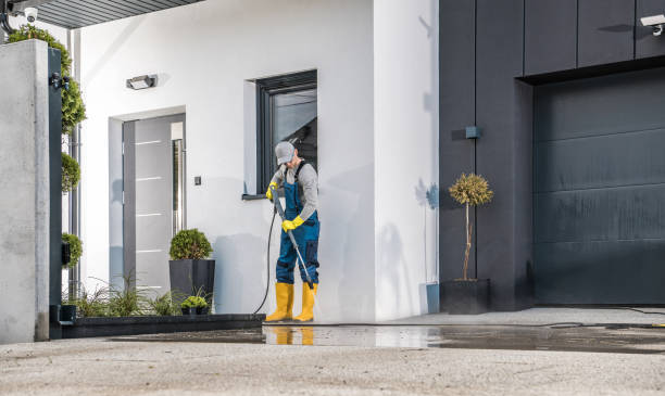 Solar Panel Cleaning in Goldenrod, FL